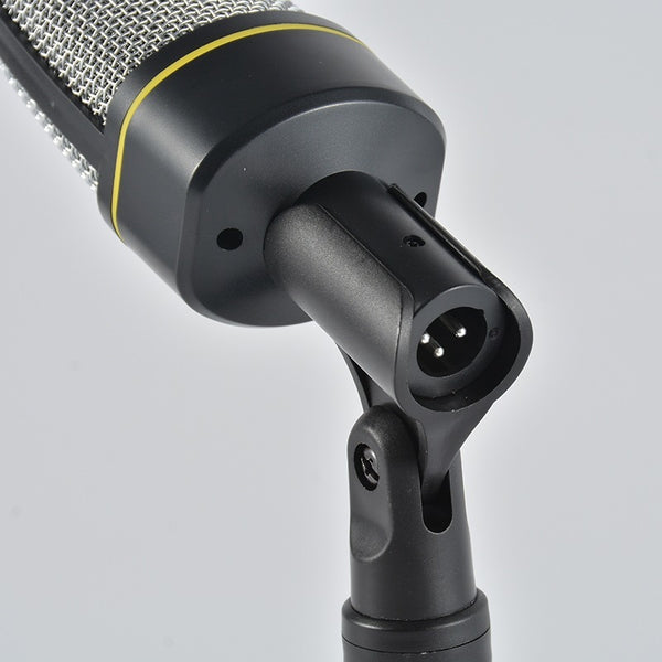 USB Connection For Multi-mode Condenser Microphones